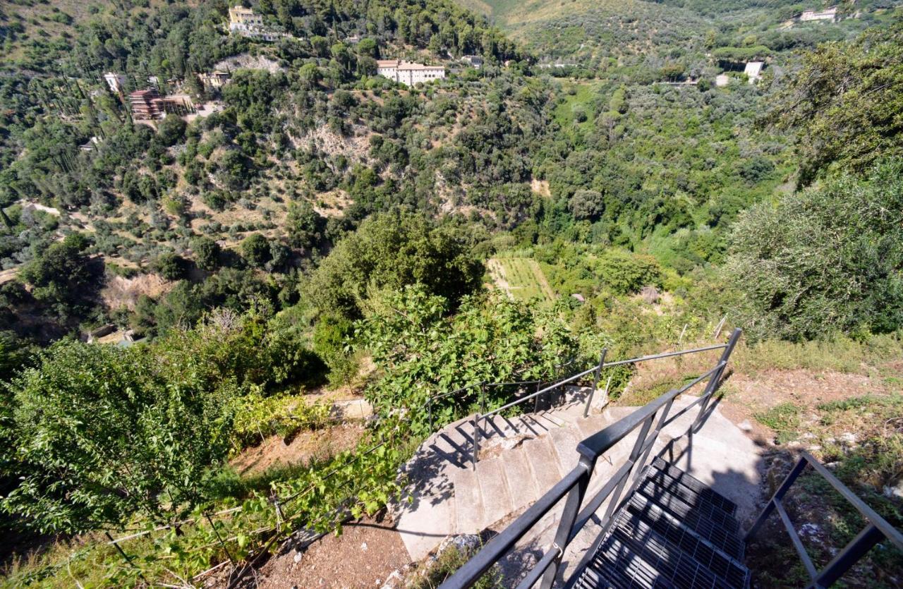 Domus Eva, Dove E Nata Tivoli Apartment Bagian luar foto